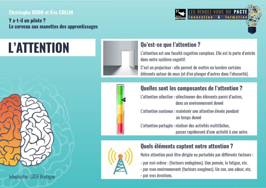 infographies neurosciences_Page_2