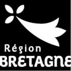 Appel à projet Bretagne – Accompagnement à la digitalisation des formations : les nouvelles sessions des comités de sélection sont ouvertes