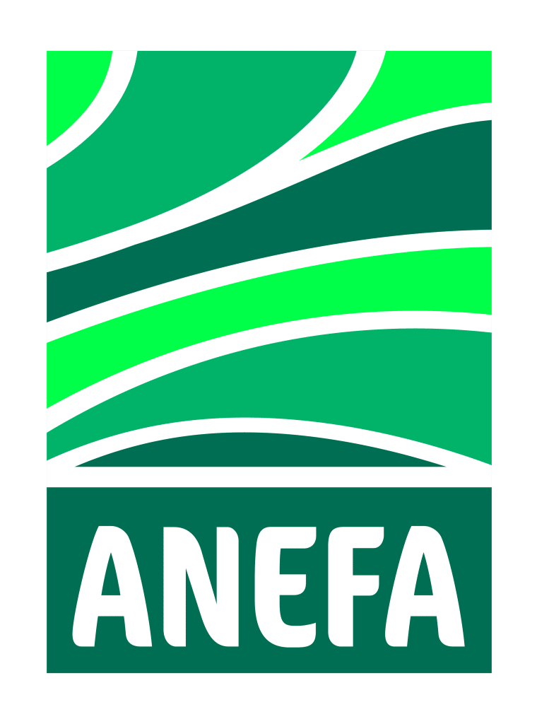 logo-anefa-seul-couleur
