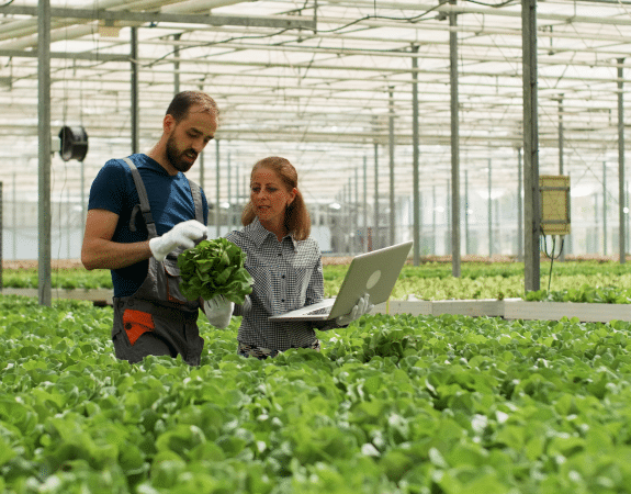 Agriculture et agroalimentaire : des chiffres toujours en progression en Bretagne